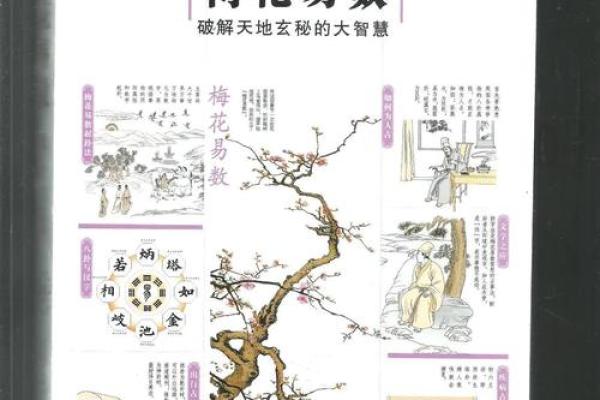 梅花易数算命准确吗