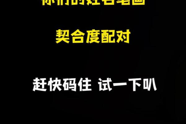 阿启姓名配对新浪 阿启 姓名配对？