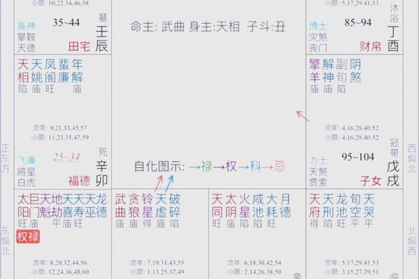 紫薇斗数权是什么意思