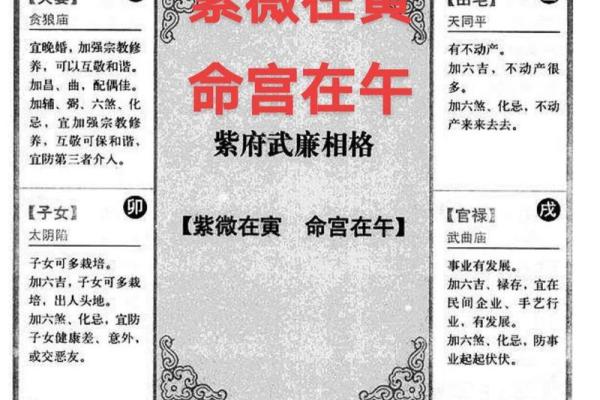 紫薇斗数命宫对应