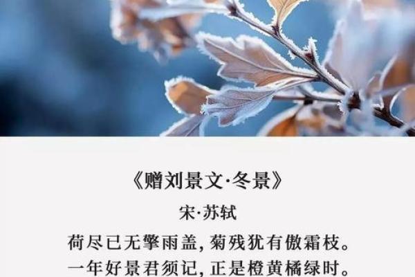 立冬的民俗活动 立冬的诗句