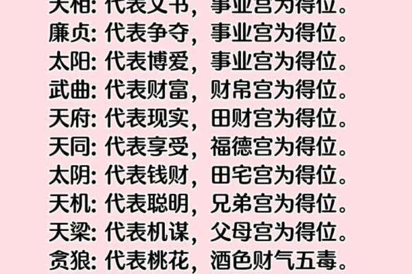 紫薇斗数入门到精通