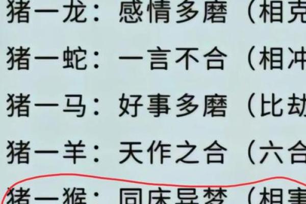 十二生肖配对大全，天作之合，你的最佳桃花运