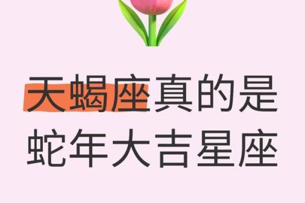 哪个星座最懂天蝎女