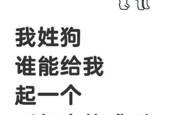 早上出生的属狗男孩怎么取名 ，宜用什么字姓名