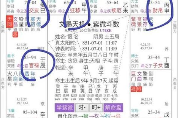 紫薇斗数四化与星组合
