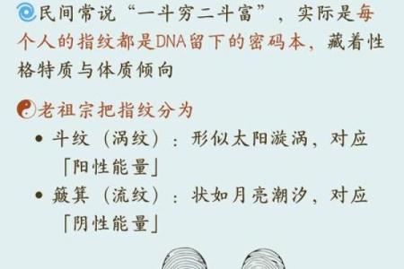 《手相学习百科》：指尖与指节
