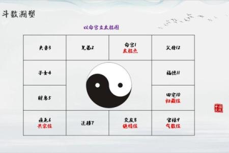 紫薇斗数大太极