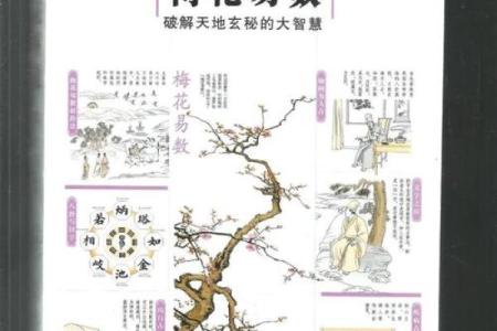 梅花易数算命准确吗