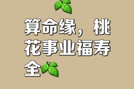算命享老公福是啥意思