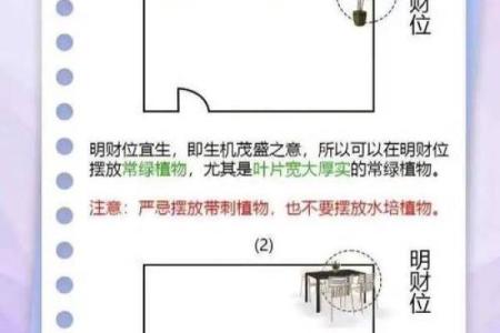 运势高升，家中风水要这么布局
