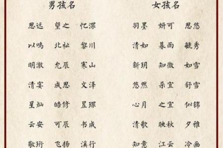 早上7点出生的属兔男孩如何取名姓名