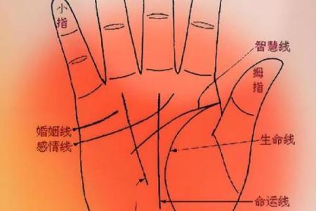 《手相学习百科》：手指