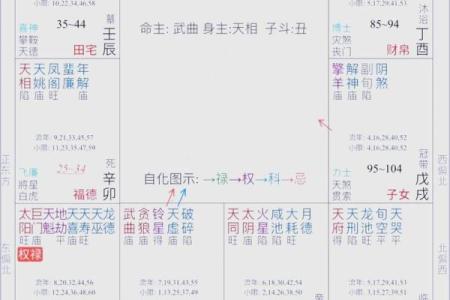紫薇斗数权是什么意思