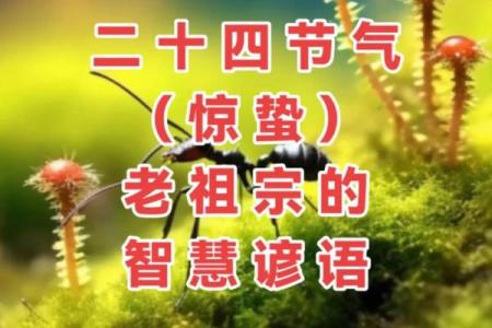 古人选择吉日为什么不选惊蛰那天,这是什么意思