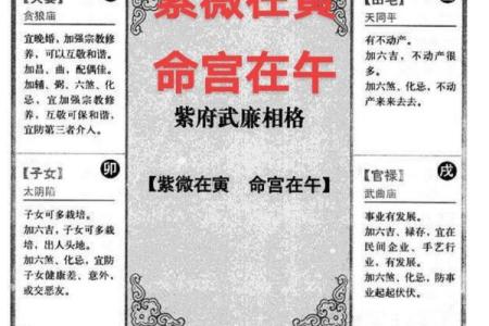 紫薇斗数命宫对应