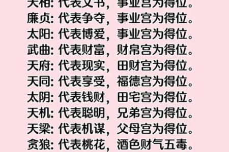紫薇斗数入门到精通