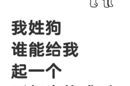 早上出生的属狗男孩怎么取名 ，宜用什么字姓名