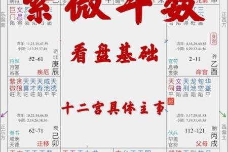 紫薇斗数测算人生