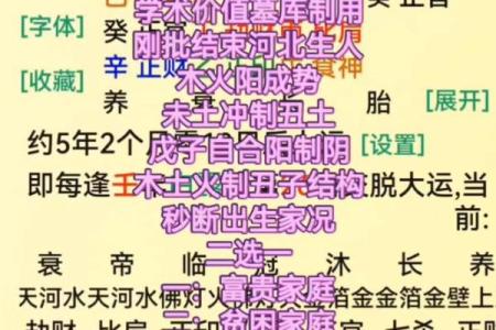 八字墓库详解