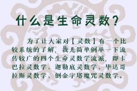 生命灵数5和几配对