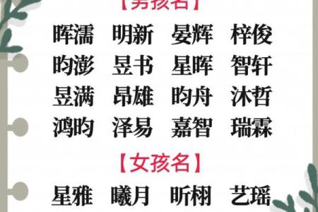 2024年10月13日出生的宝宝生辰八字 人为谨慎好静