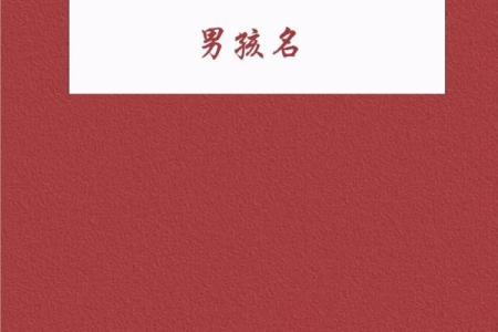 2019年5月3号丑时出生的男孩要怎么起名字姓名