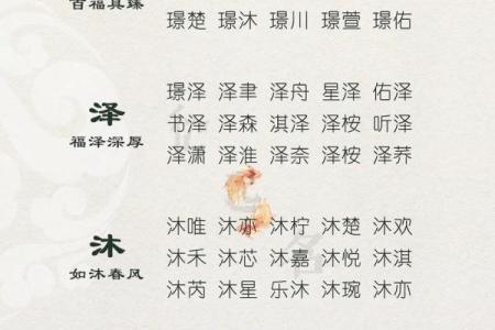 要怎么给晚上1点出生的属猴男孩起名字好姓名