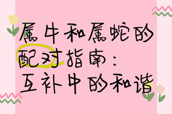 属牛和什么属相最配对 属牛和什么属相相冲