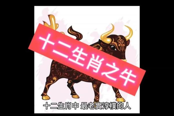 属牛和什么属相最配对 属牛和什么属相相冲