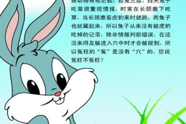 十二星座属相兔年运势图
