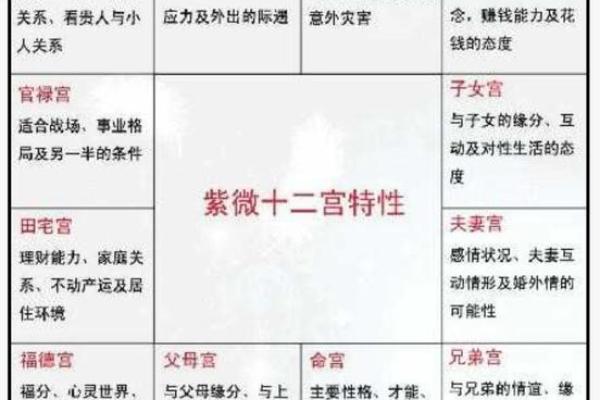 紫微斗数排盘田宅宫化权含意分析 田宅宫化权的含义