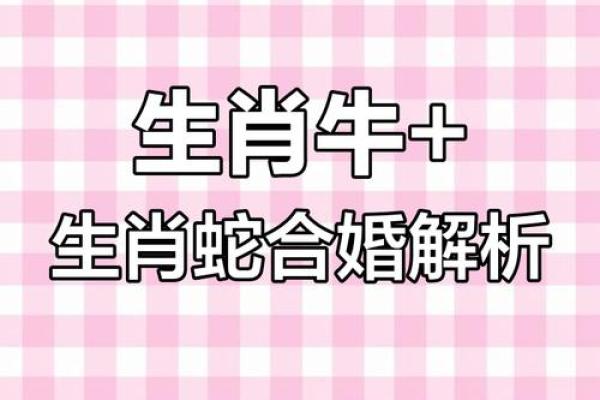 牛跟什么生肖配对最好 生肖牛最佳配对