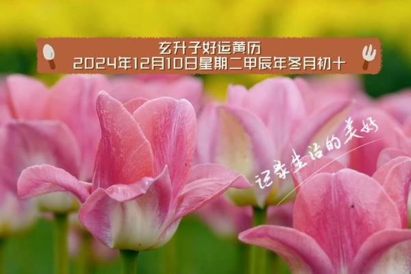 2024年农历二月初十日子黄历如何？是不是黄道吉日呢？
