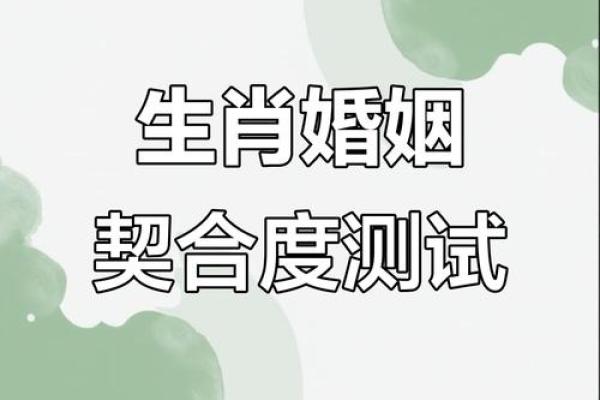 属相配对指数