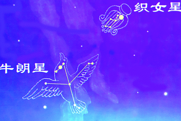 织女星位于哪个星座-牵牛星和织女星各属于什么星座