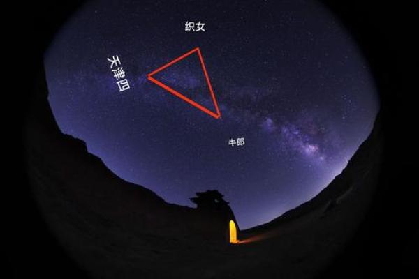 织女星位于哪个星座-牵牛星和织女星各属于什么星座