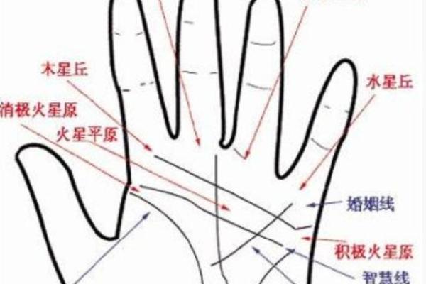 小指短的手相算命