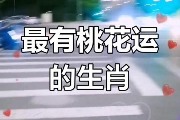 十二生肖桃花运旺盛的方位
