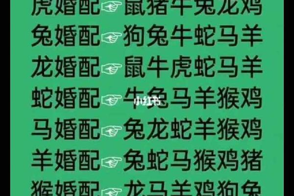 95男猪96女鼠相配吗 95年出生的男性和96年出生的女性是否适合成为配对