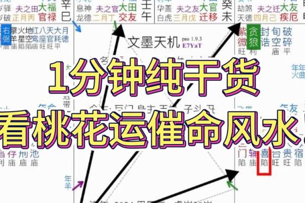 紫薇斗数看你的动力