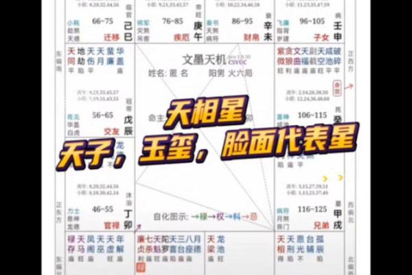 紫薇斗数怎样查天相