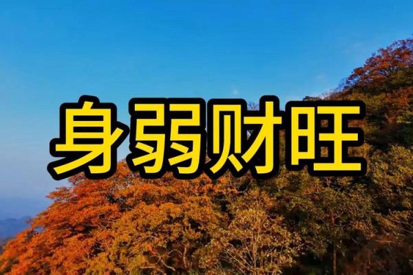 五分钟教你学看八字案例85集：身弱杀重 有财有库 一生有较好的财运