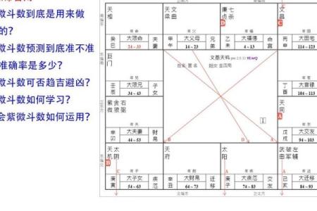 紫薇斗数apk