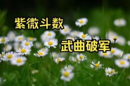 紫薇斗数破解会员版