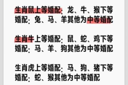 牛跟什么生肖配对最好 生肖牛最佳配对
