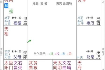 紫微斗数方位 紫微斗数方位东南西北？