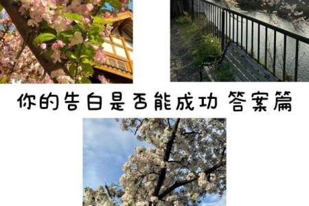 塔罗测试，如何在爱情中找回真实的自己？