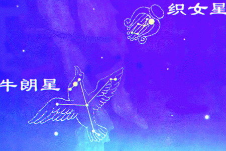 织女星位于哪个星座-牵牛星和织女星各属于什么星座