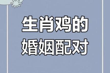 鸡马生肖配对指数 鸡和马属相婚配指数